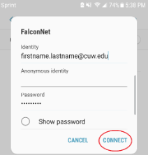 FalconNet Settings 1